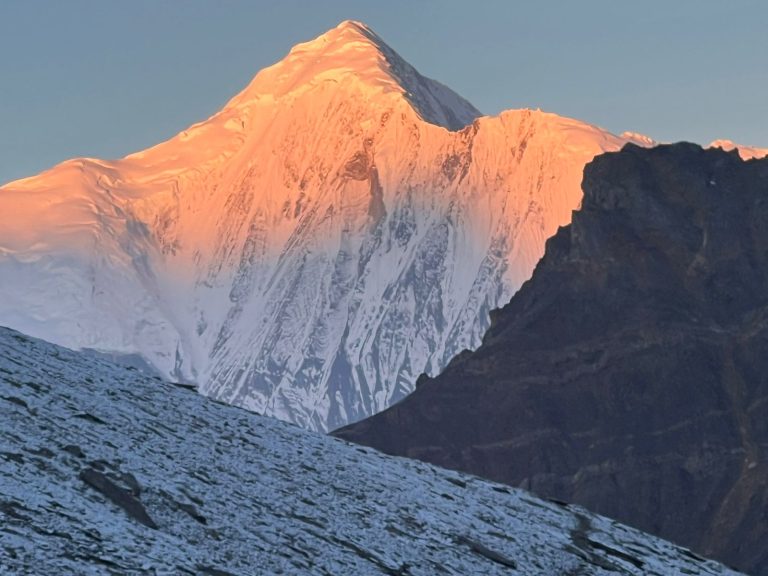 WhatsApp Image 2025-11-15 at 14.38.11_c051b7cf